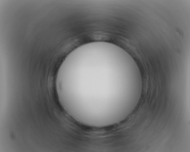 X0000114620263200910201008