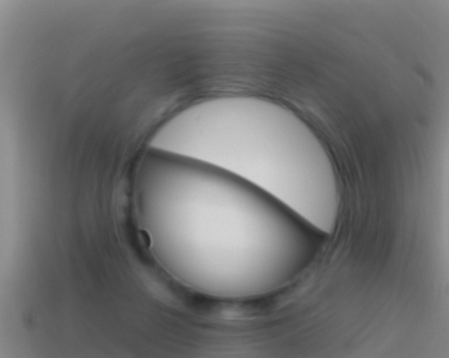 X0000114620264200910201008