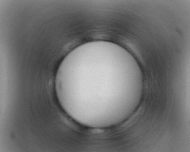 X0000114620265200910201008