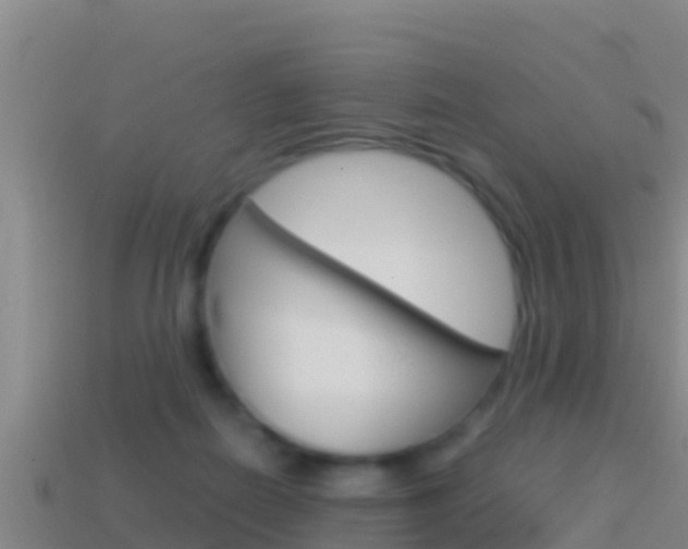 X0000114620266200910201008