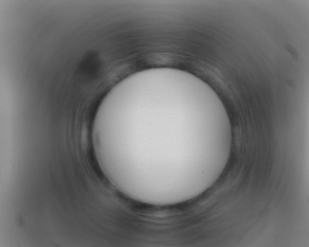 X0000114620267200910201008