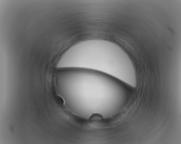 X0000114620268200910201008