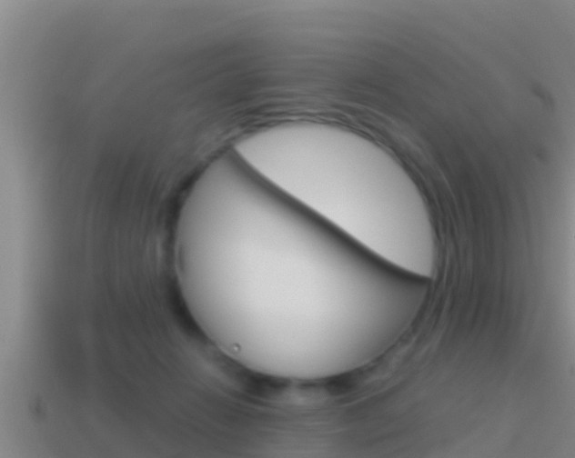X0000114620270200910201008
