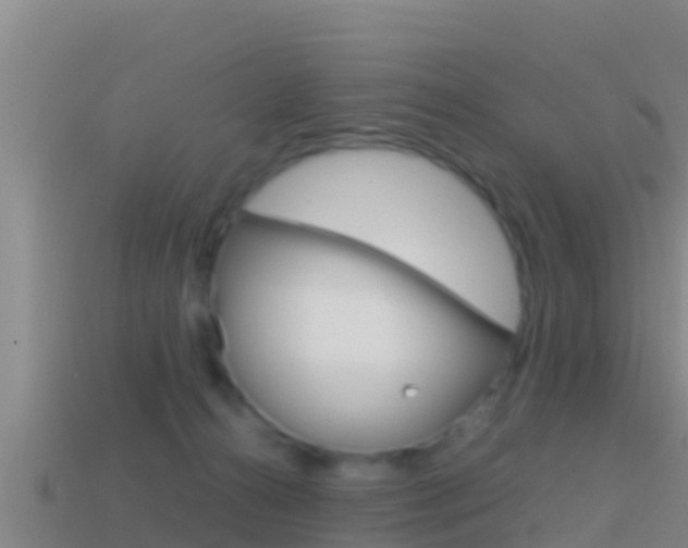 X0000114620272200910201008