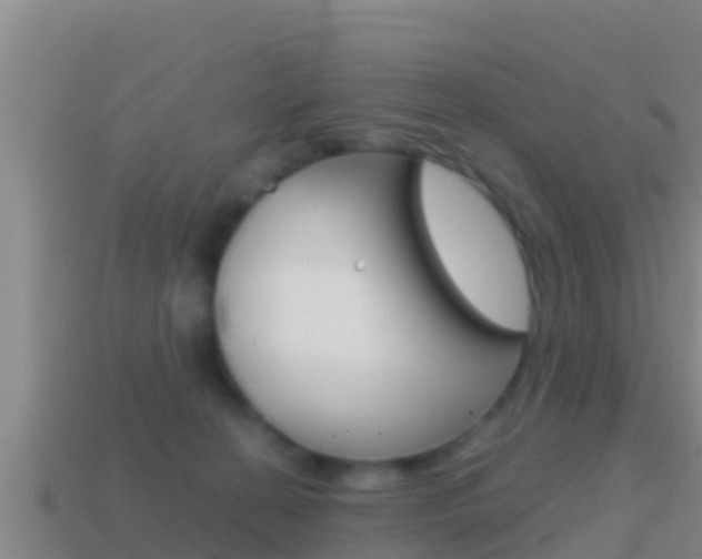 X0000114620274200910201008