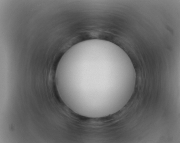 X0000114620275200910201008