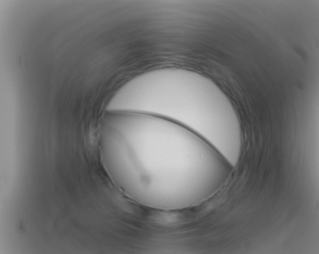X0000114620276200910201008