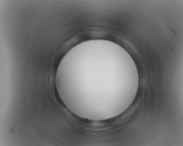 X0000114620277200910201008