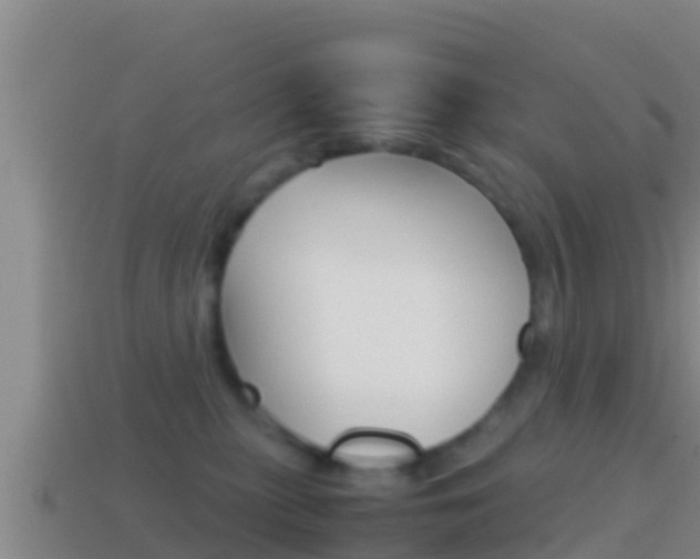 X0000114620279200910201008