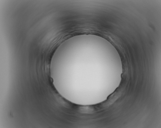 X0000114620281200910201008
