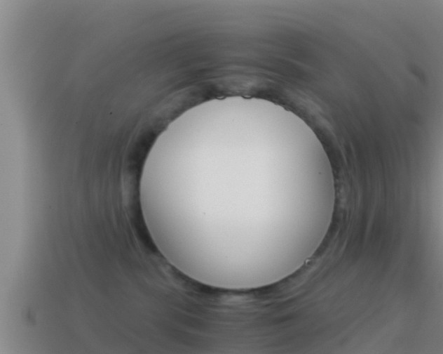 X0000114620283200910201008
