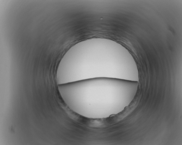 X0000114620285200910201008