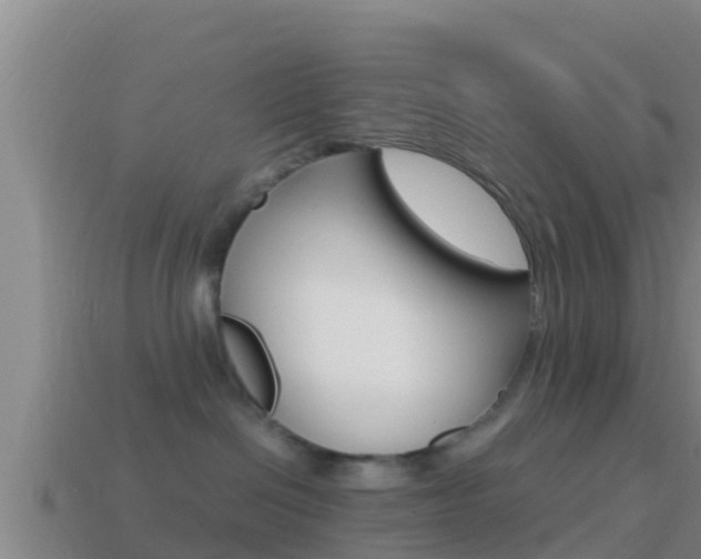 X0000114620286200910201008