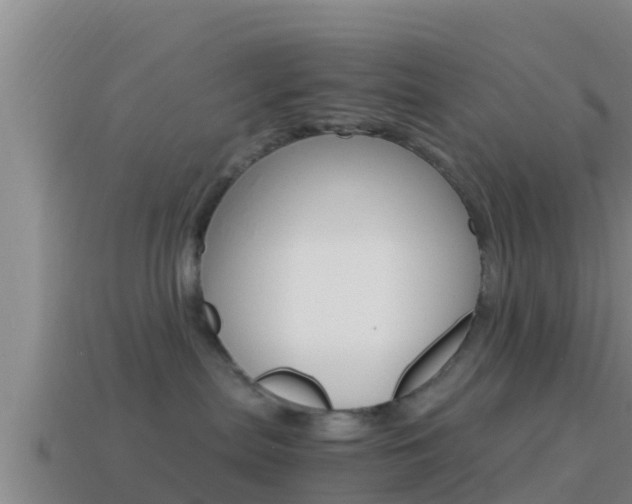 X0000114620287200910201008
