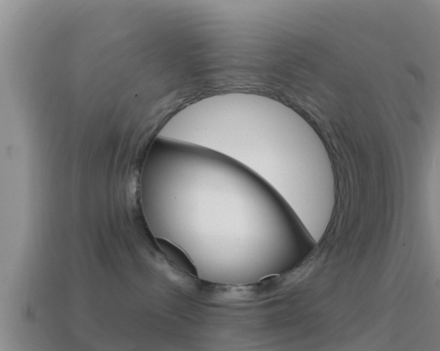 X0000114620288200910201008