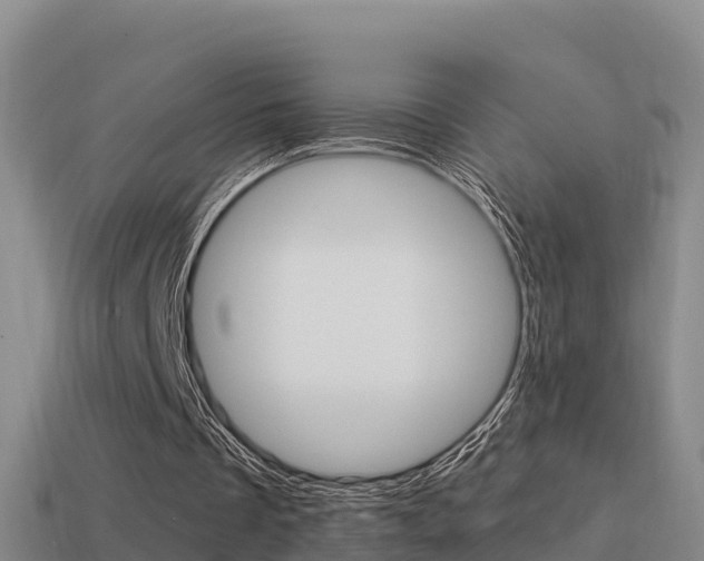 X0000114620289200910201007