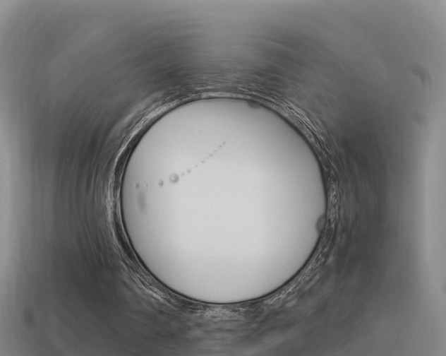 X0000114620290200910201007