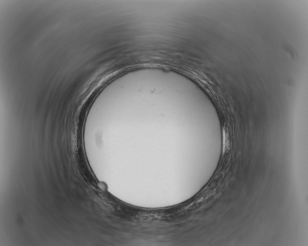 X0000114620291200910201007
