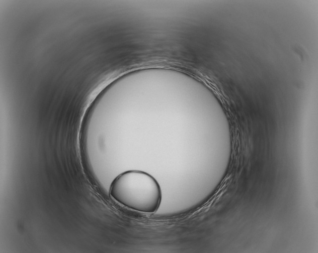 X0000114620292200910201007
