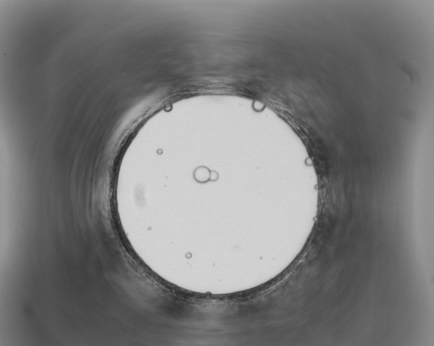 X0000114620293200910201007