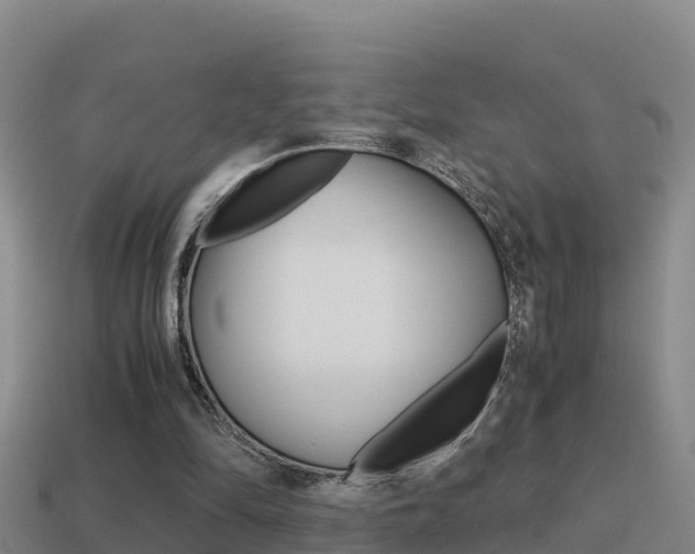 X0000114620294200910201007