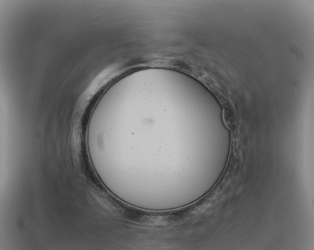 X0000114620295200910201007
