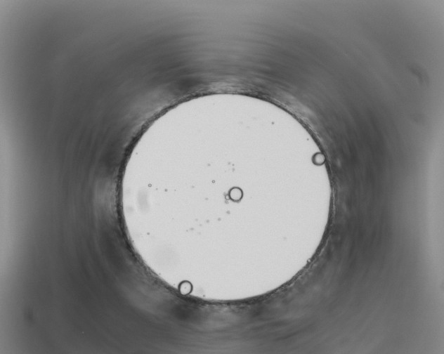X0000114620297200910201007