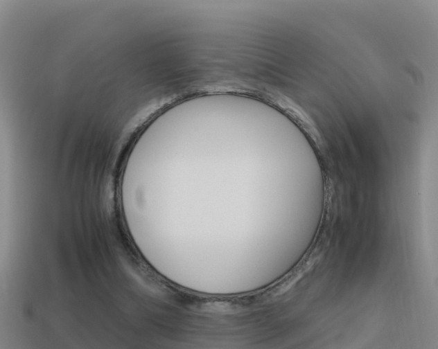 X0000114620298200910201007