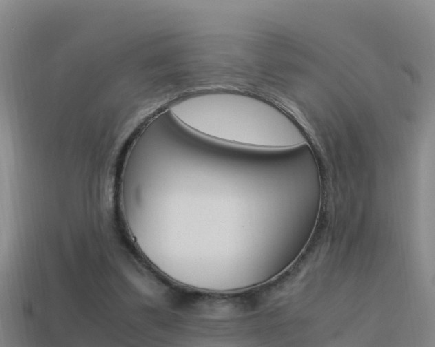 X0000114620299200910201007