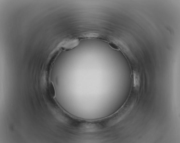 X0000114620300200910201007
