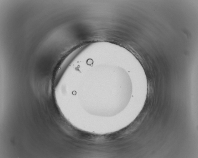 X0000114620301200910201007