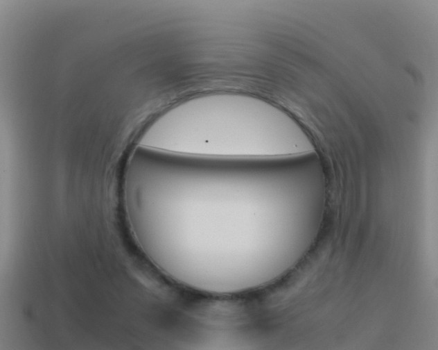 X0000114620303200910201007