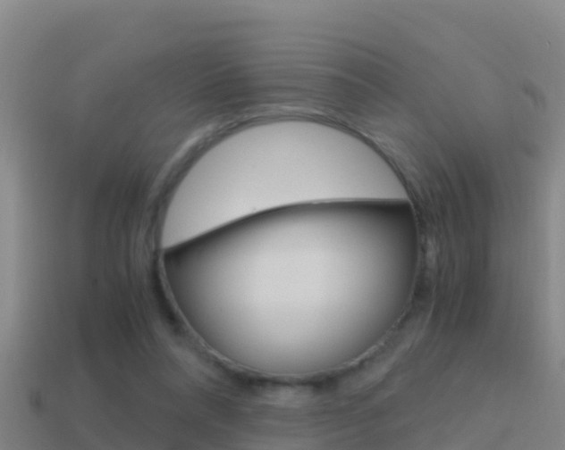 X0000114620304200910201007