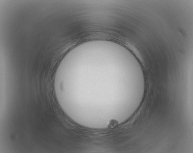 X0000114620305200910201007