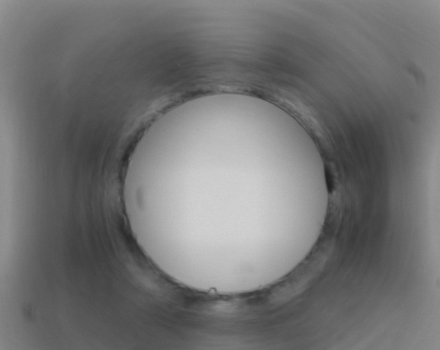 X0000114620306200910201007