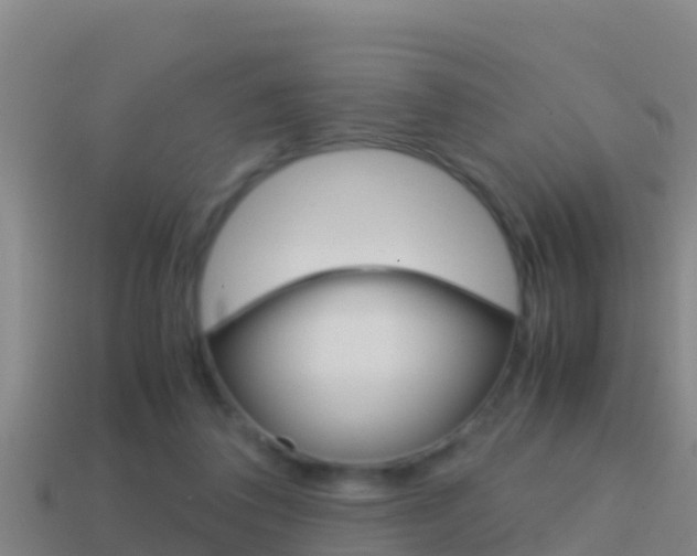 X0000114620308200910201007