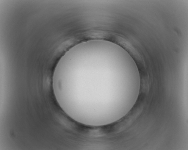 X0000114620309200910201007