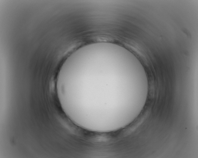 X0000114620310200910201007