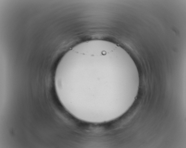 X0000114620311200910201007