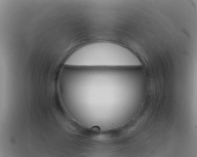 X0000114620312200910201007