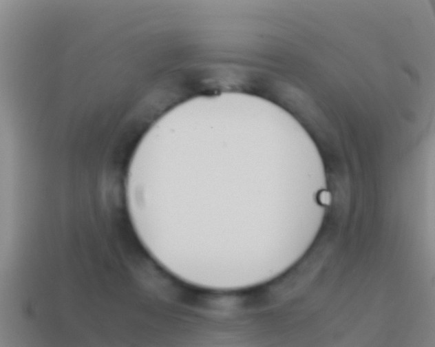 X0000114620313200910201007