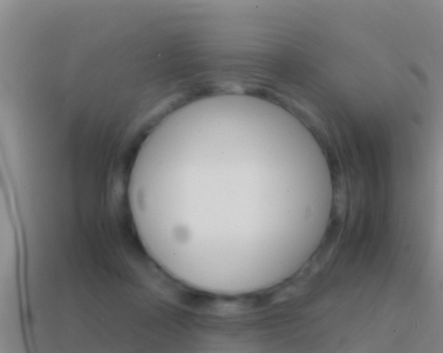 X0000114620314200910201007