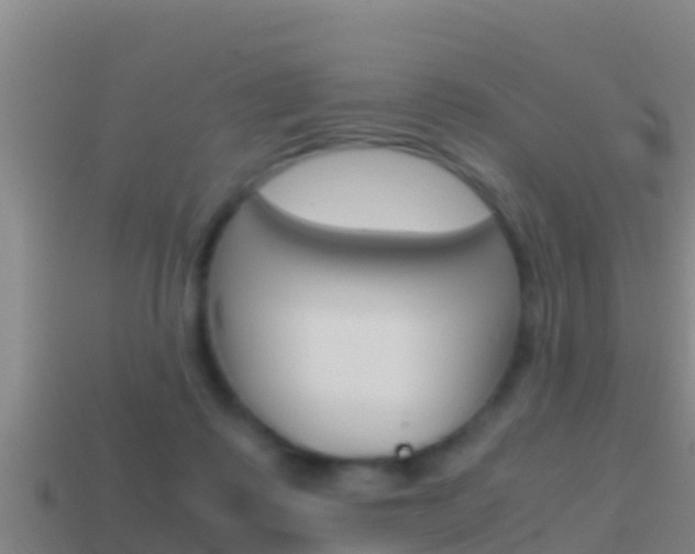 X0000114620315200910201007