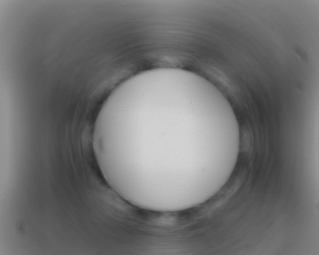 X0000114620318200910201007