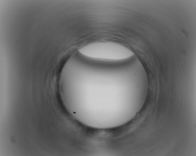 X0000114620319200910201007