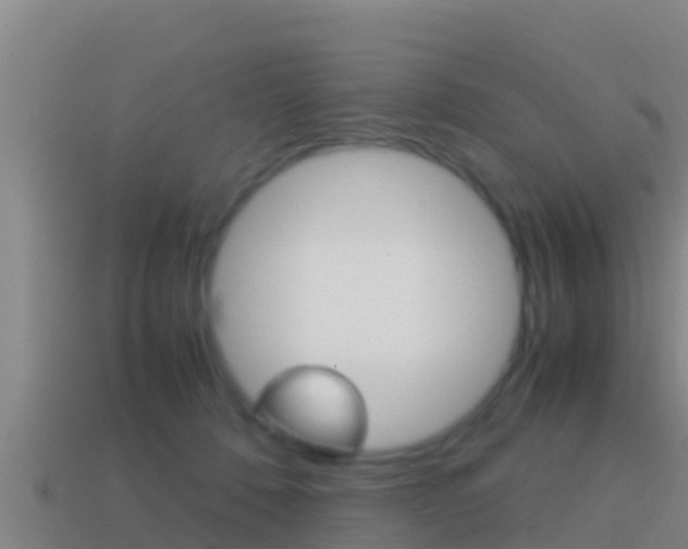 X0000114620320200910201007