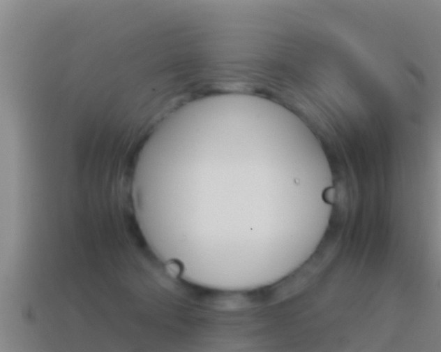 X0000114620322200910201007