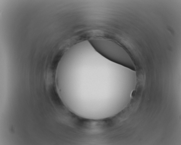 X0000114620323200910201007