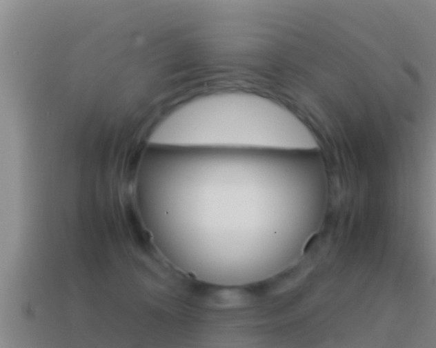 X0000114620324200910201007