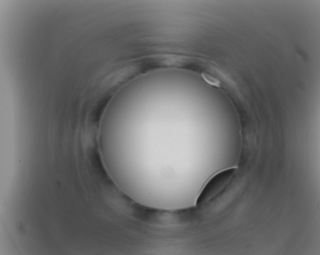 X0000114620325200910201007